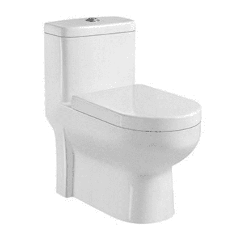 One-piece washdown toilet