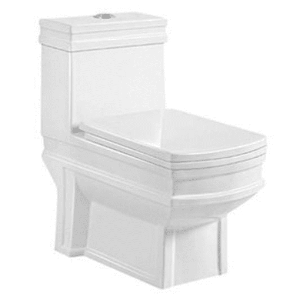 Washdown toilet one-piece